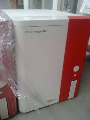 Rapid In-House Hematology with the IDEXX ProCyte Dx Veterinary Analyzer thumbnail 3