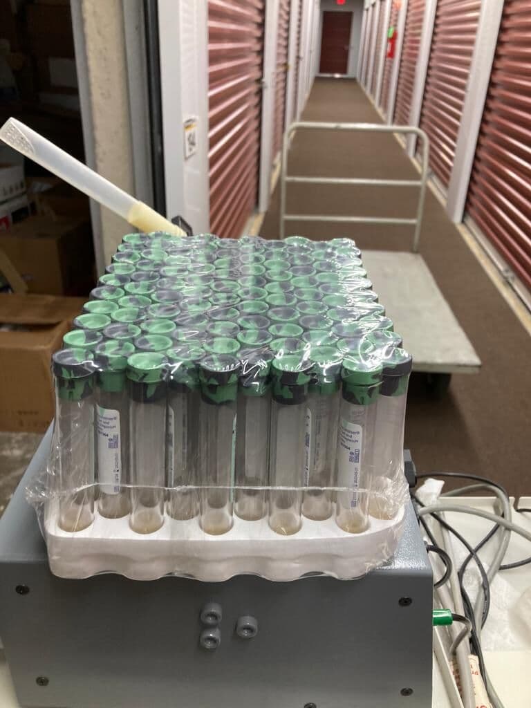 PST Gel & Lithium Heparin Blood Collection Tubes by BD (Vacutainer, 8.0 mL) thumbnail 3