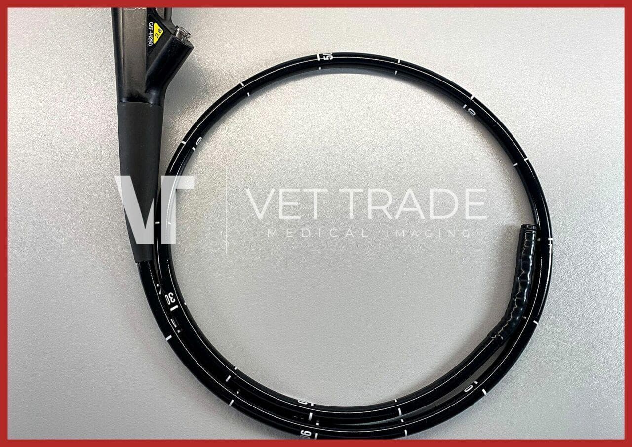 High-Definition OLYMPUS GIF-H290 Video Gastroscope for Upper GI Endoscopy thumbnail 3
