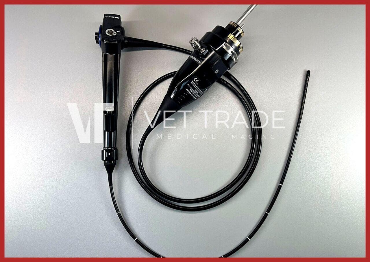 Olympus BF-Q190 Video Bronchoscope for Pulmonary Procedures