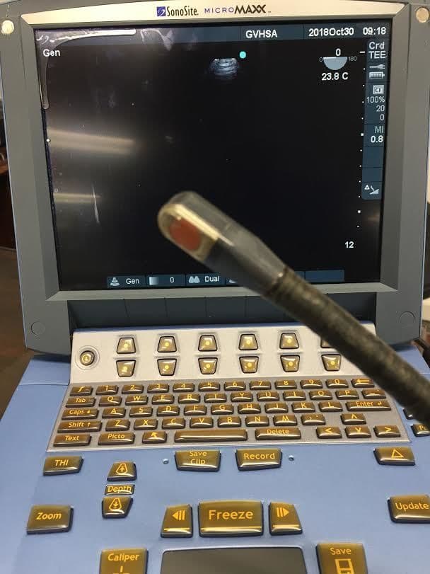 Sonosite TEE 8-3 MHz Ultrasound Transducer for Transesophageal Echocardiography thumbnail 2