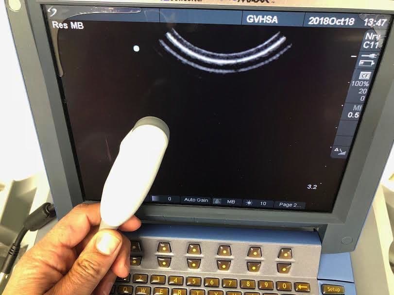 SonoSite C11E Curved Array Ultrasound Transducer for MicroMaxx System image 1
