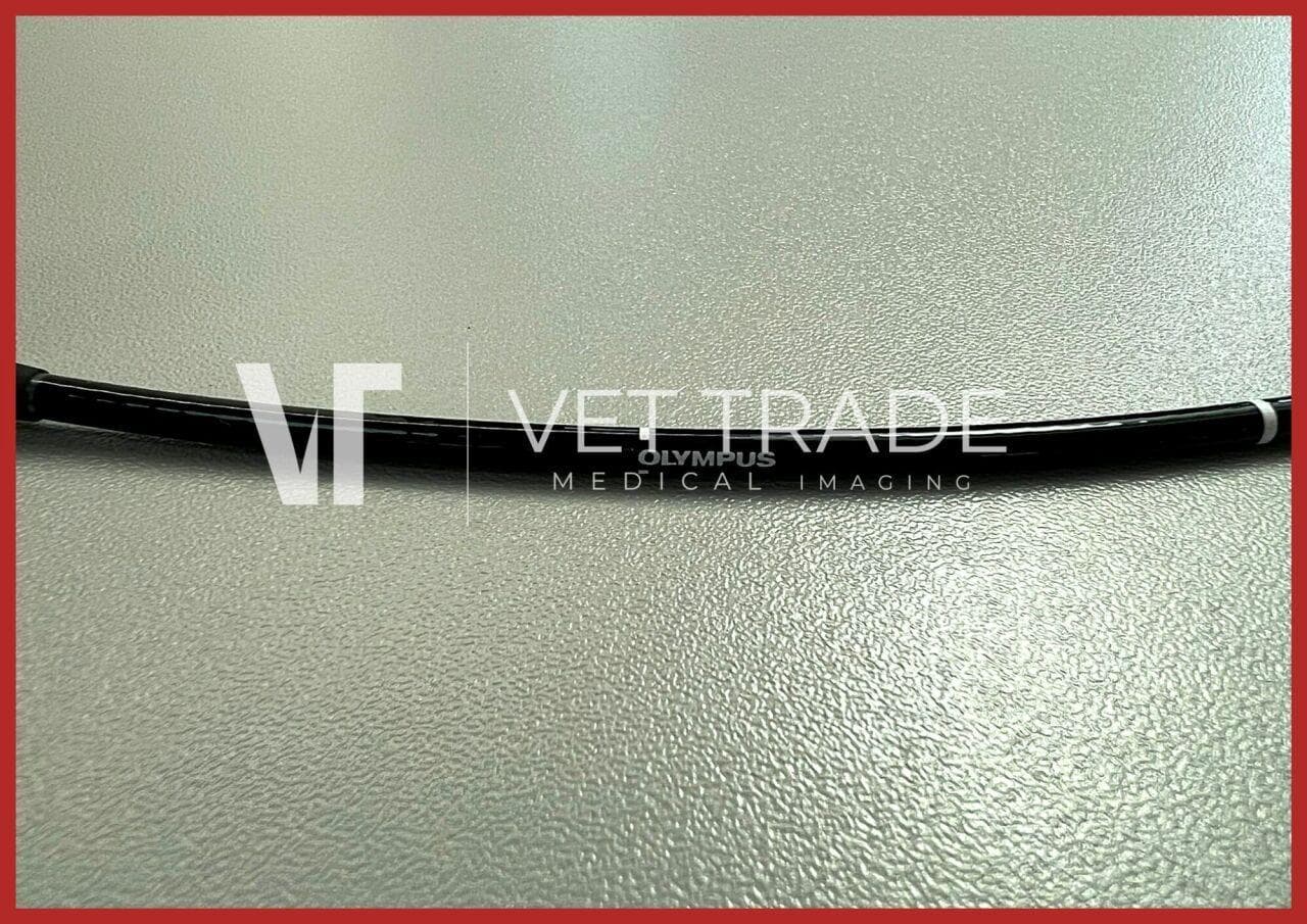 OLYMPUS ENF-GP2 Flexible Fiber Rhinolaryngoscope for ENT thumbnail 3