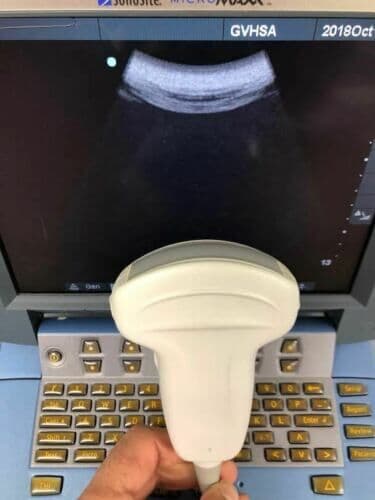 Sonosite C60e Convex Ultrasound Transducer Probe image 1
