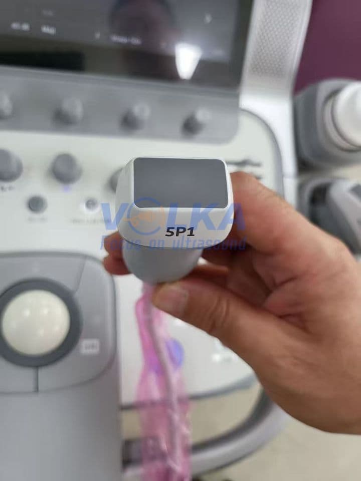 Siemens Acuson 5P1 Sector Ultrasound Transducer