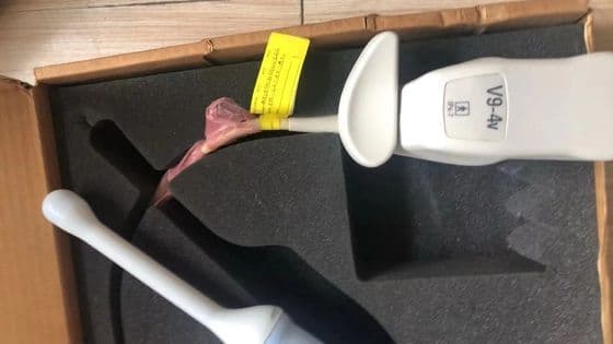 Philips V9-4V 3D/4D Endocavity Ultrasound Transducer image 1