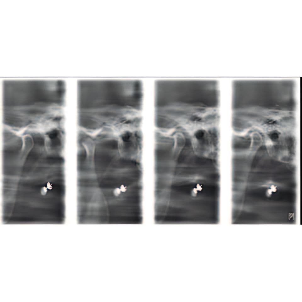 Planmeca ProMax Pan Dental X-Ray System thumbnail 16