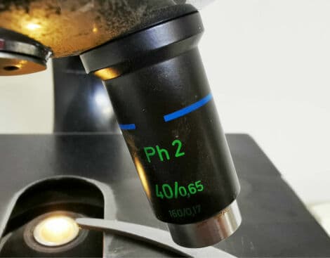 Classic Laboratory Microscope — Zeiss Steindorff Berlin thumbnail 10