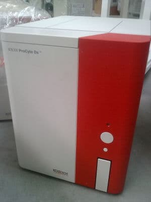 Rapid In-House Hematology with the IDEXX ProCyte Dx Veterinary Analyzer thumbnail 2