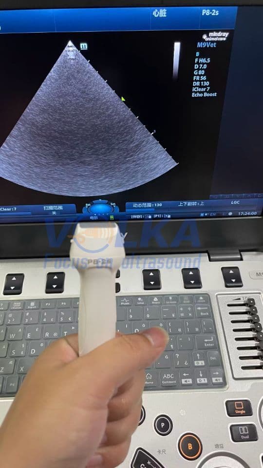 Mindray P8-2s Sector Array Ultrasound Transducer image 1