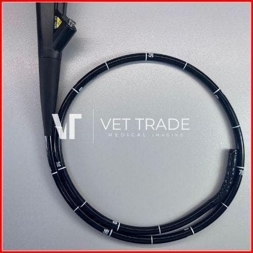 Olympus GIF-H290 High-Definition Video Gastroscope for Upper GI Endoscopy