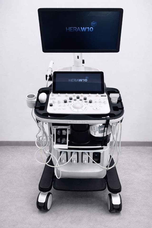 For Sale SAMSUNG HERA W10 2022 with 3 probes included ex demo OB / GYN Ultrasound