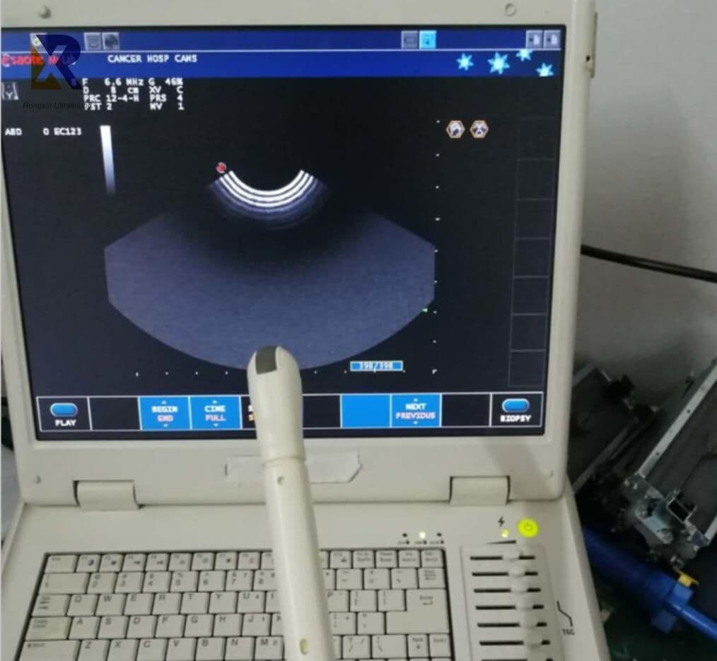 Biosound Esaote EC123 Micro-Convex Array Ultrasound Transducer thumbnail 3