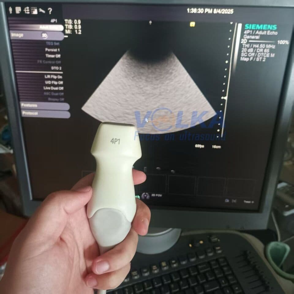 Siemens 4P1 Sector Ultrasound Transducer