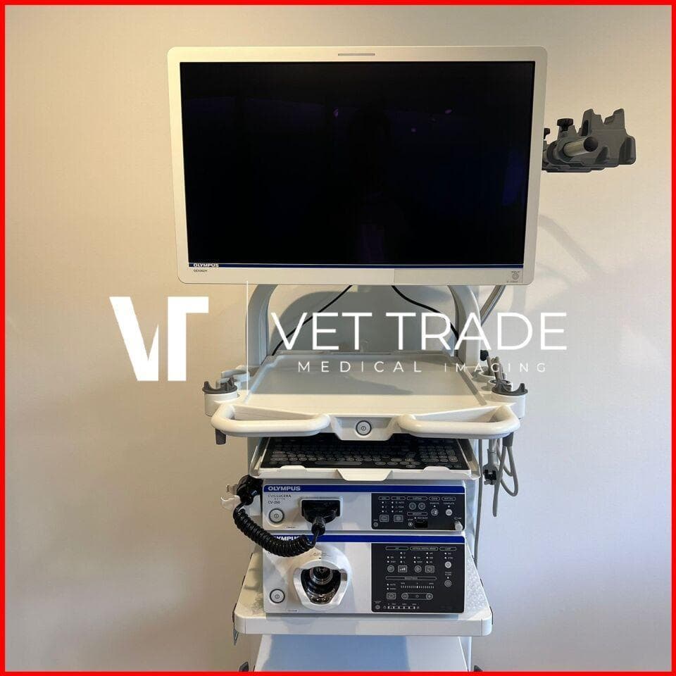 Flexible Endoscopy Imaging System — Olympus Evis Lucera Elite 290 image 1