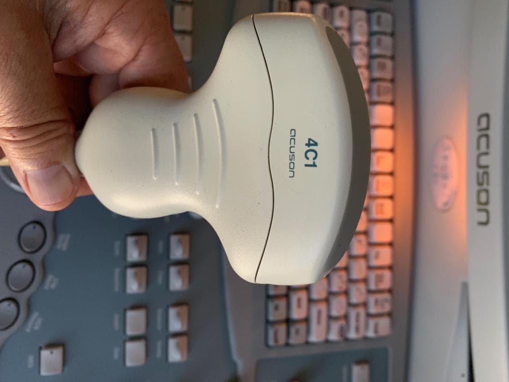 Abdominal and General Purpose Imaging with the Acuson 4C1 Convex Ultrasound Transducer thumbnail 3