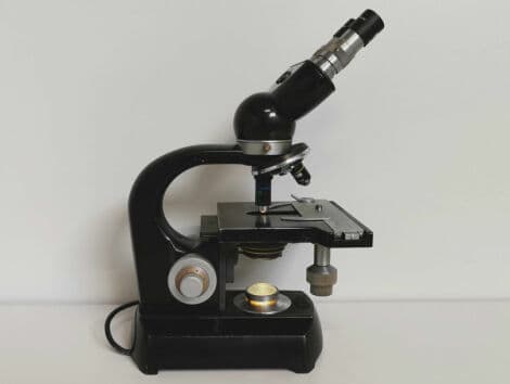 Classic Laboratory Microscope — Zeiss Steindorff Berlin thumbnail 5