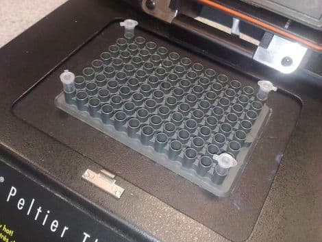 Thermal Cycler — MJ Research PTC-100 thumbnail 6