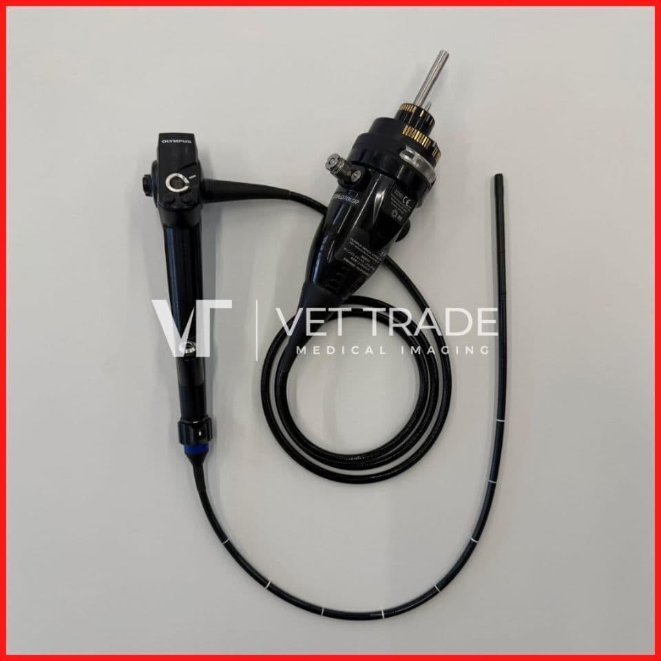 Pulmonary Endoscopy Video Bronchoscope — OLYMPUS BF-1TH1100 image 1