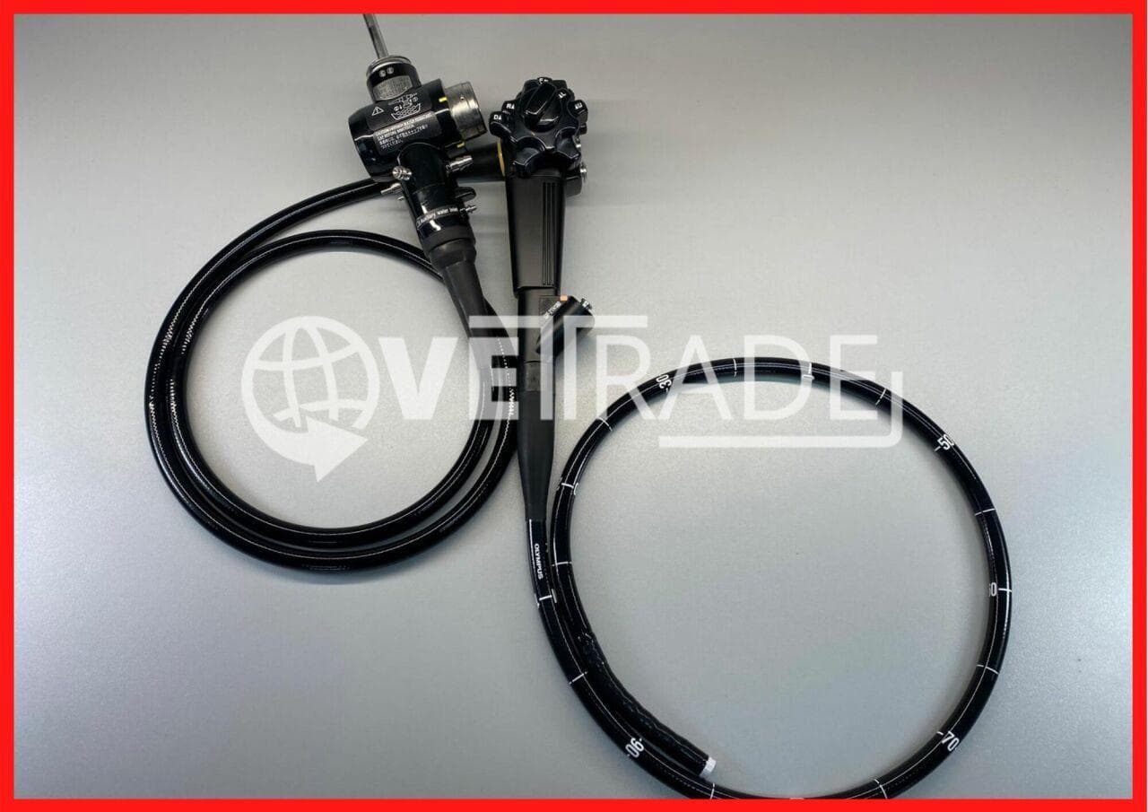 Olympus GIF-2TH180 Dual-Channel Therapeutic Video Gastroscope