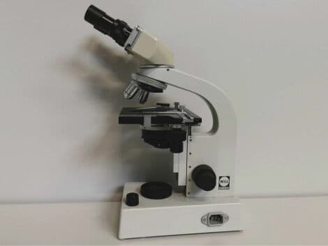 Wetzler WILL Laboratory Microscope in Excellent Condition thumbnail 3