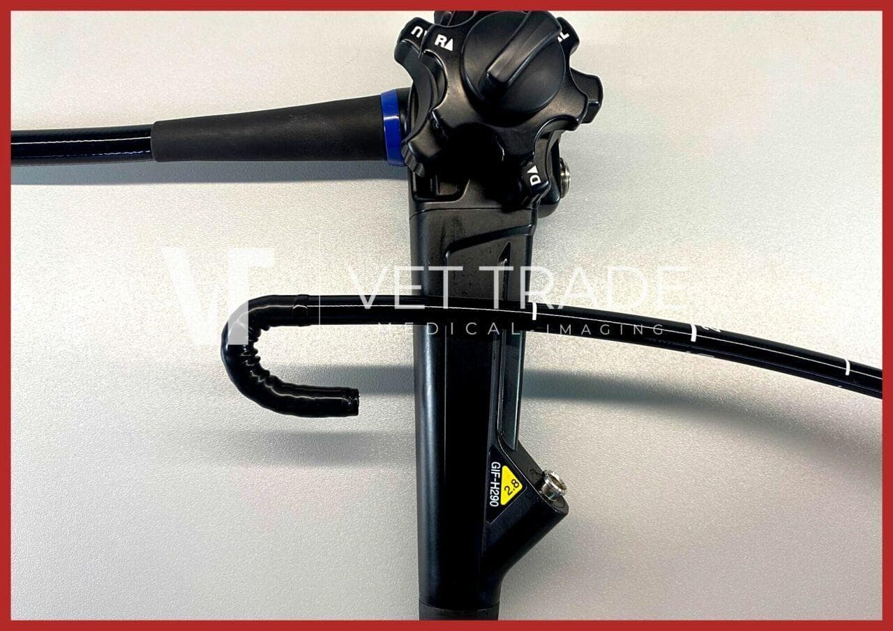 High-Definition OLYMPUS GIF-H290 Video Gastroscope for Upper GI Endoscopy