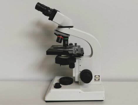 Wetzler WILL Laboratory Microscope thumbnail 3