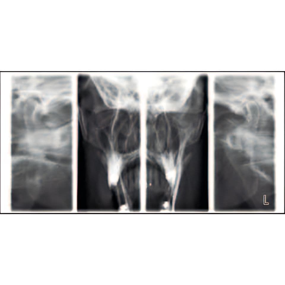 Planmeca ProMax Pan Dental X-Ray System thumbnail 2