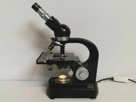 Classic Laboratory Microscope — Zeiss Steindorff Berlin thumbnail 3