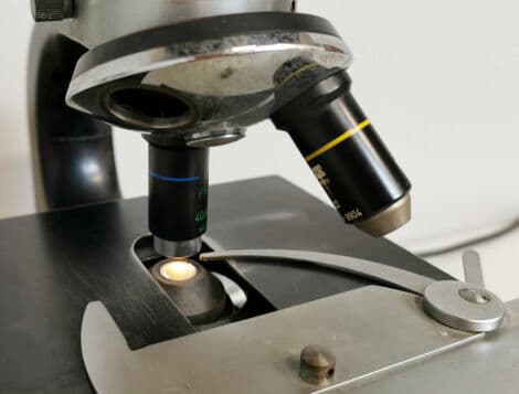 Classic Laboratory Microscope — Zeiss Steindorff Berlin thumbnail 8