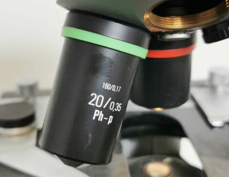 Wetzler WILL Laboratory Microscope thumbnail 8