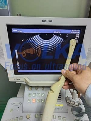 Toshiba PVM-651VT Endocavity Ultrasound Probe