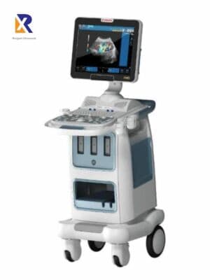 Cardiovascular Biosound Esaote MyLab 40 Ultrasound System