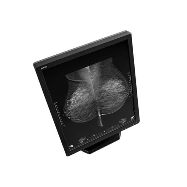 5MP Monochrome Diagnostic Display Monitor — WIDE MX50N