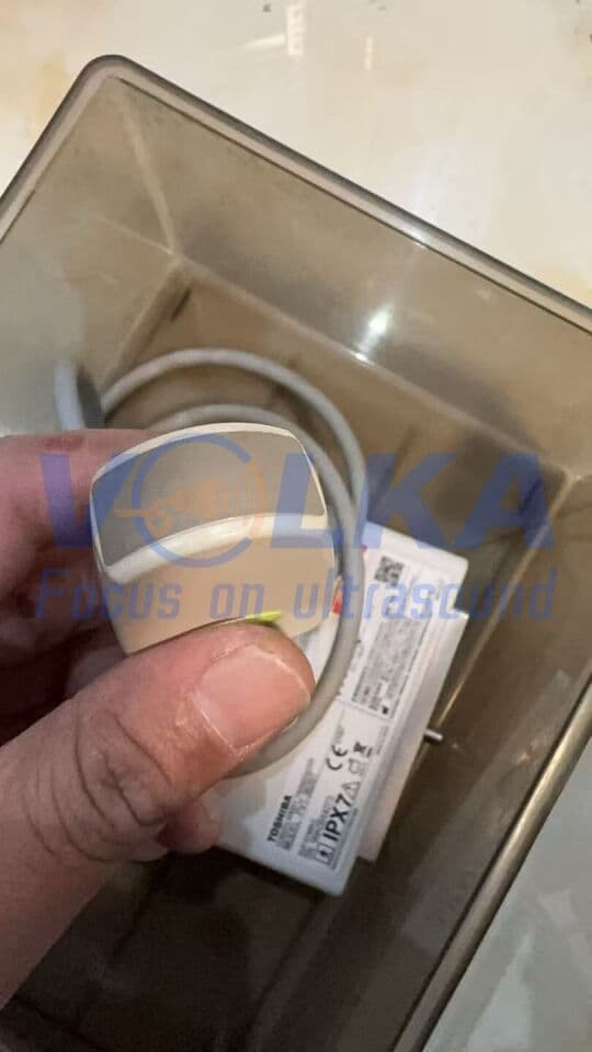 Toshiba PVT-382BT Micro-convex Ultrasound Transducer